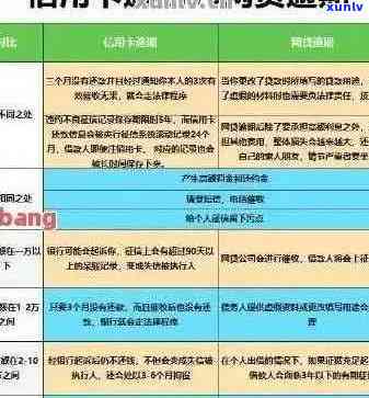 实针对信用卡逾期的财政援助政策，助力消费者度过经济困难时期