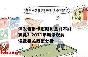 实针对信用卡逾期的财政援助政策，助力消费者度过经济困难时期