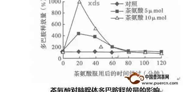 普洱茶氨基酸含量高低区别