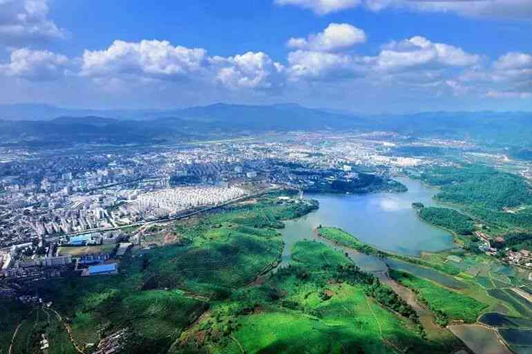 普洱茶光山