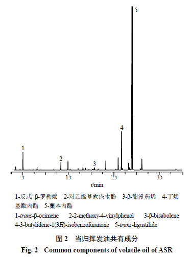 新糯种的变异性：可能性、原因与影响全解析