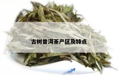 纳罕古树普洱茶：产区、茶叶、产品的综合解答