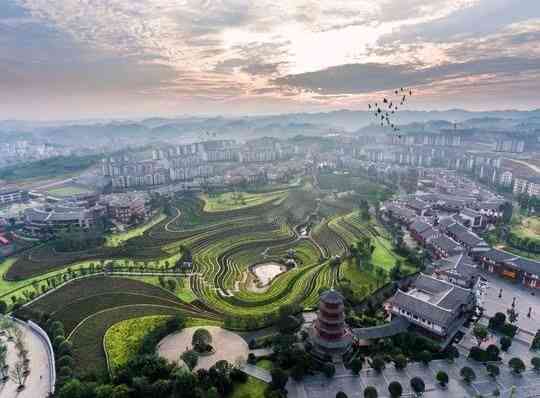 贵州毕节大方简介：介绍景点，镇属于哪个县