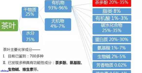 深入研究揭示：国外普洱茶化学成分、生物活性及健影响的多元化视角