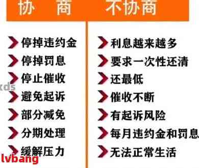 小额贷款逾期还款的全面解决策略和建议：原因分析、应对措和未来规划