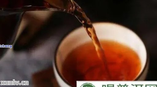 喝普洱茶手背起疹子怎么办