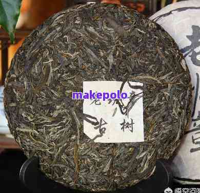 古树普洱茶你买不到怎么办呀？为什么贵？收藏价值大吗？茶叶品质如何？