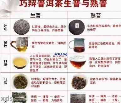 普洱茶酵素价格表及详细信息：作用与功效全解析