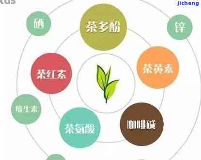 普洱茶酵素价格表及详细信息：作用与功效全解析