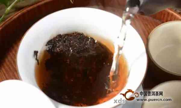 从选茶到泡茶：全面指南如何泡出美味普洱熟茶