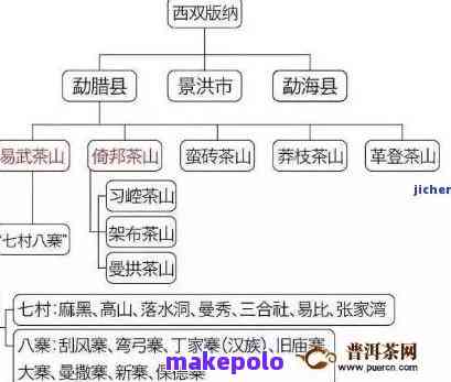 坝糯普洱茶海拔对茶叶品质和口感的影响：一个全面解析