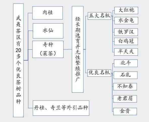 普洱茶秒杀岩茶的原因分析