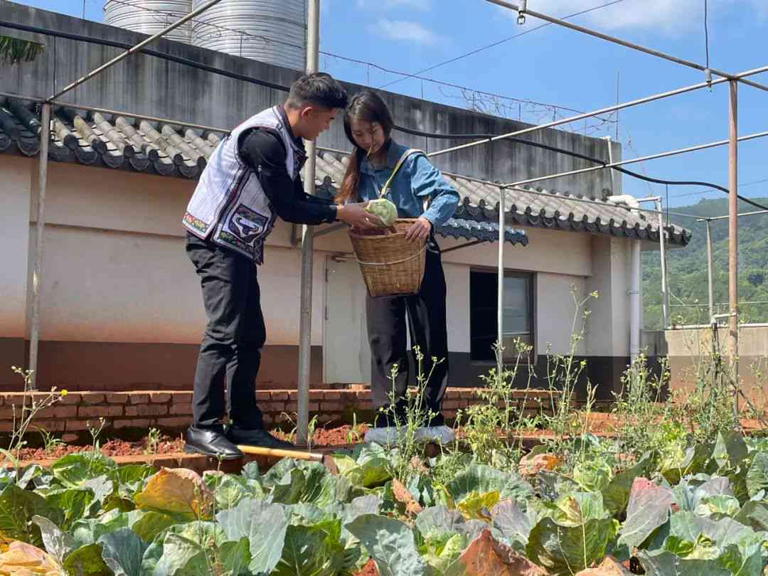 普洱茶标识茶叶采集日期和包装日期：如何识别与理解？