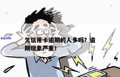 什么人呀信用卡逾期