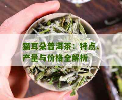 猫耳朵普洱茶：哪个山头产地的茶叶？特点和口感如何？