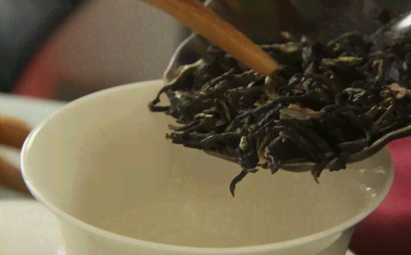 干嚼普洱茶