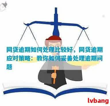 全面解决网贷逾期费问题：如何合理应对高额逾期费用及还款策略