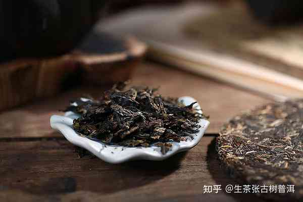 为什么茶经里没有普洱茶？