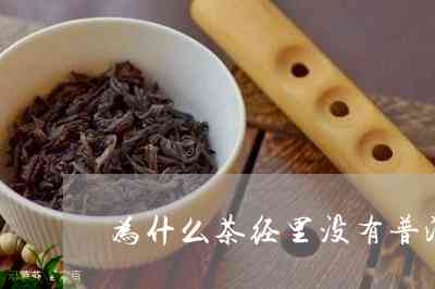 为什么茶经里没有普洱茶？