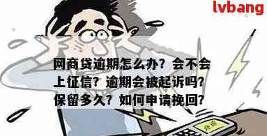 网上逾期申报完整指南：步骤、注意事项与常见问题解答