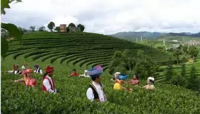 义乌卖普洱茶的地方有哪些