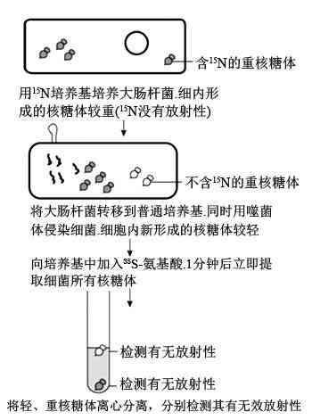 普洱茶菌落总数的详细解读及其相关检测方法探究