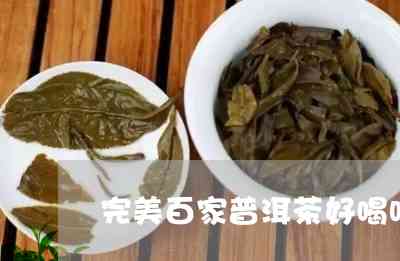 普洱茶百家茶怎么样好喝吗