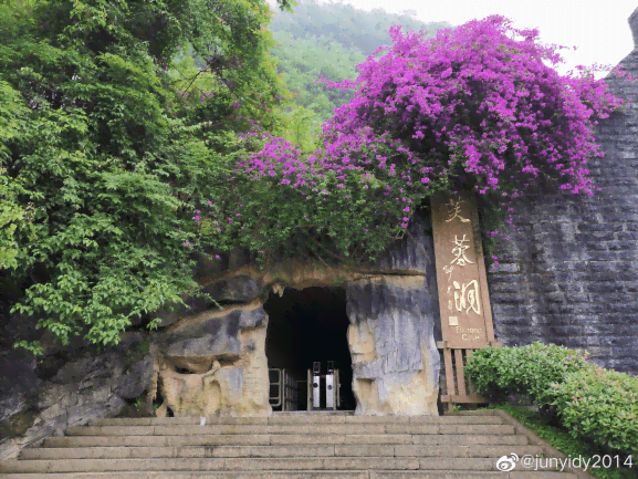 云南红花山：探寻普洱茶叶的宝藏之地