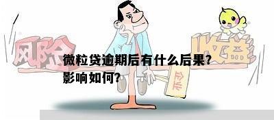 借呗逾期了微粒贷有影响吗？怎么办？