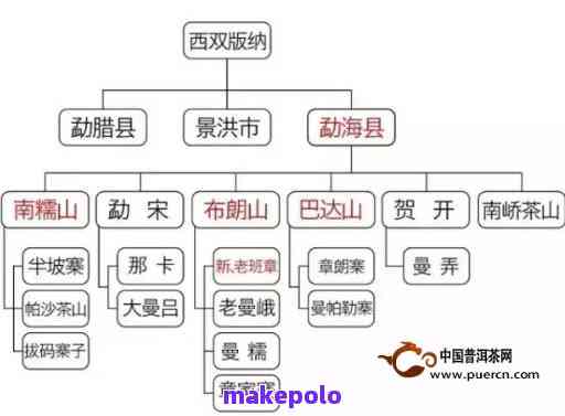 四大普洱茶厂商对比：谁才是茶叶品质与口感的最赢家？