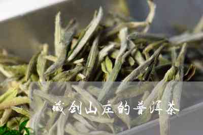 大马普洱茶