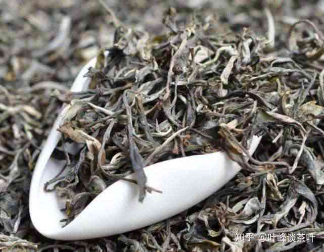 '普洱茶饼泡还是散茶好？:探讨普洱茶两种形态的口感比较'