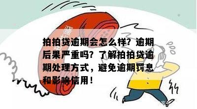 逾期还款后果全面解析：逾期记录、罚息、信用度影响及解决方案