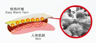 鹅毛的功效：保暖、抗菌与美容作用详解