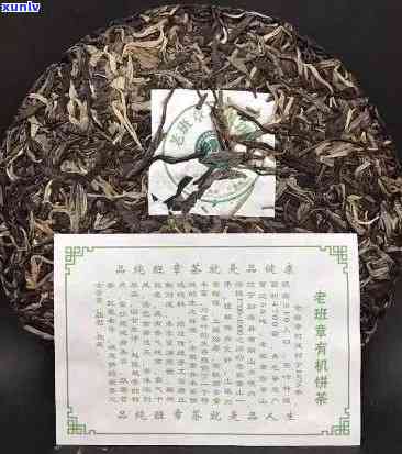 云南普洱茶陈香老茶：品质与价格一览表，带你了解古树茶、生茶与熟茶的区别