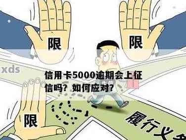 信用卡逾期5000元会如何影响个人信用记录？是否会上系统？