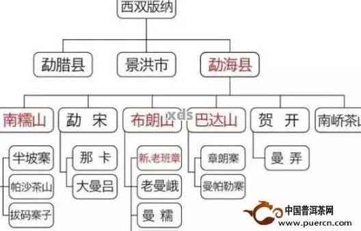 纳丙普洱茶：地域特点与品种特色解析