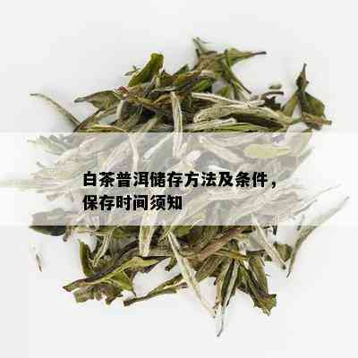 新 普洱茶与白茶的保存时间：哪种茶可以更长时间存？