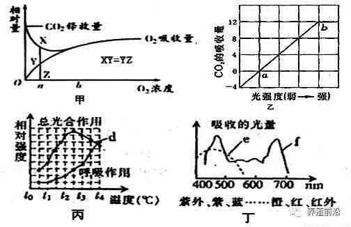 探究和田玉在高温下的稳定性：温度极限是多少？