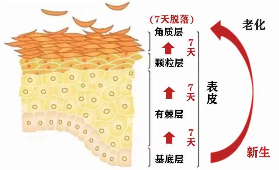 银子摩擦皮肤变黑的原因及解决方法全面解析：了解科学原理和预防措施