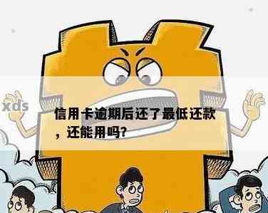 逾期还款后，能否继续使用信用卡？