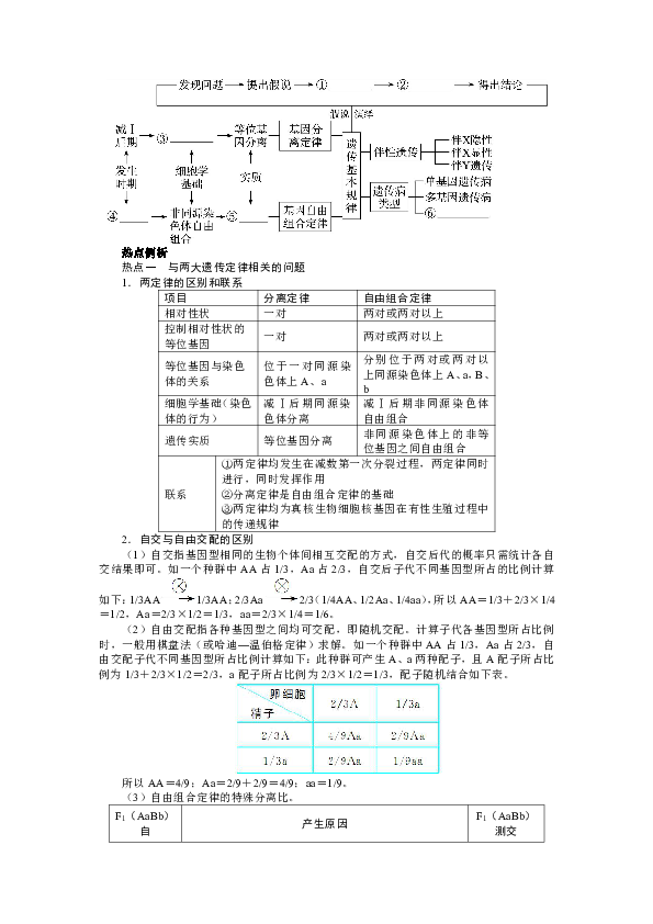 外祖母基因对后代影响的完整研究：怀孕定律、遗传比例及外孙的传递情况