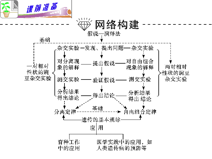 外祖母基因对后代影响的完整研究：怀孕定律、遗传比例及外孙的传递情况