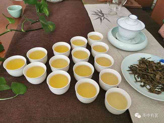 泡普洱茶用什么碗比较好