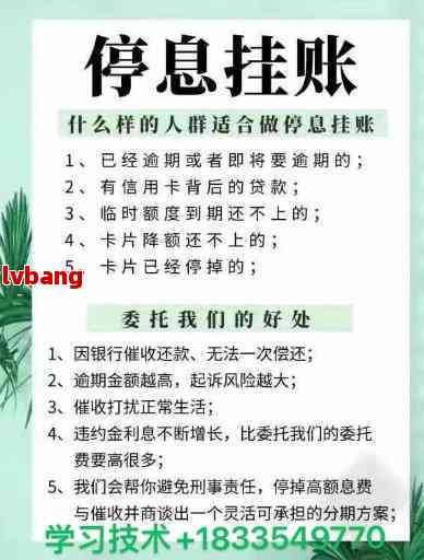 全面解决用户疑惑：如何申请停息挂账以及相关注意事项