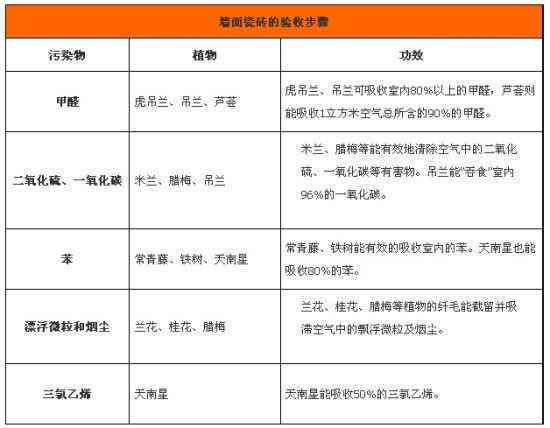 普尔茶蛀虫的全面解决方案：预防、检测与清除方法