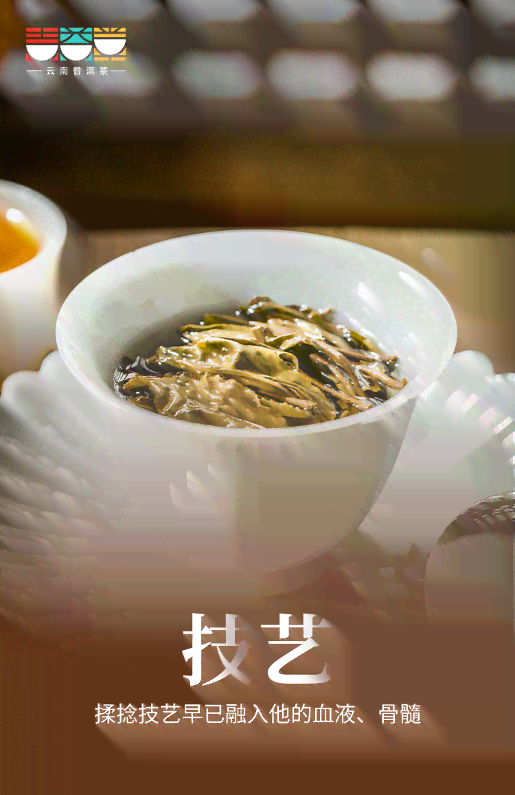 普尔茶的制作过程详解：从原料到冲泡方法，全面掌握普尔茶的各种可能性