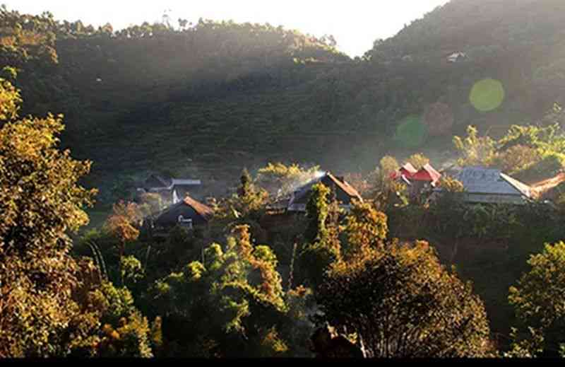 勐海南糯山普洱茶2013价格表及特点，厂生产高品质茶叶