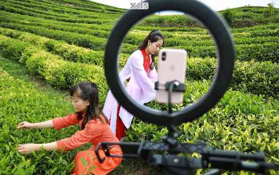 不懂普洱茶直播带货怎么办