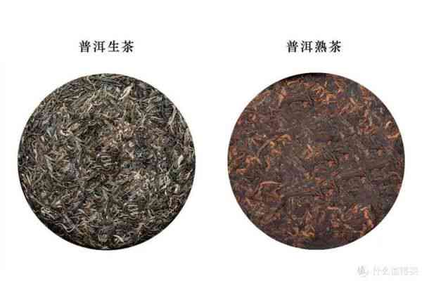 普尔生茶与熟茶：一种新的品鉴视角，探究两者的独特韵味和风味区别